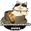 Lastimosamente
asies
