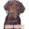 Mascotitas 28