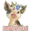Mascotitas 29
