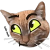 MASCOTAS MSG 19