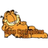 Frases Garfield 20