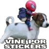 Stickers Pro 29