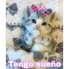 62
Cokki
Tengo sueño