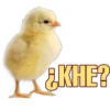 KHE?