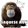 SAQUESE ALV