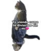 Yo Viendo Como... 21