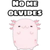 NO ME OLVIDES