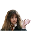 Harry Potter 2 20