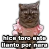 hice toro este
llanto por nara