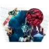 VaporXpress 2.0 30