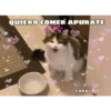 QUIERO COMER APURATE
COKKI