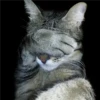Facepalm 29