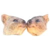 Quokkas, os animais mais felizes do mundo 21