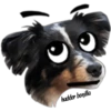 MASCOTAS MSG 20
