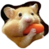 hamster 15