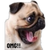 OMG!!