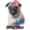 IMPACTAD@