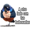 ¿Dónde están los pájaros? 5