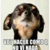 respuestas con memes 4 6