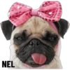 NEL