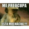 respuestas con memes 4 7