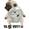 shutte
YA ME VOY!!