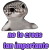 iguana y perro 5