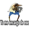 ¿Dónde están los pájaros? 8