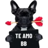 TE AMO
BB