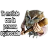 ¿Dónde están los pájaros? 9