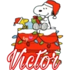 Krys
Victor