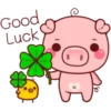 PINK PIG 6
