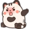 Gato gordo y lindo 5
