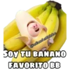 PIG •Emomar 8