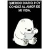 QUERIDO DIARIO, HOY
CONOCÍ AL AMOR DE
MI VIDA.