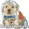 PERRITO PACK 6 5