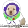 PERRITO PACK 6 6