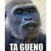 respuestas con memes 4 9