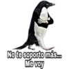 ¿Dónde están los pájaros? 10