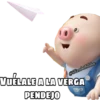 PIG •Emomar 11
