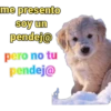 iguana y perro 6
