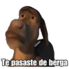 Shrek 6