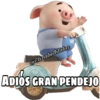 PIG •Emomar 13
