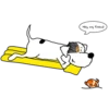 Bandit & friends 5