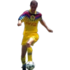 América El más Grande 13
