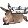 Shrek 8