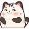 Gato gordo y lindo 7
