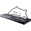 Bongo cat 5