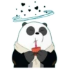 Panda Polar (We Bear Bears) PanPan 5