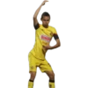 América El más Grande 14